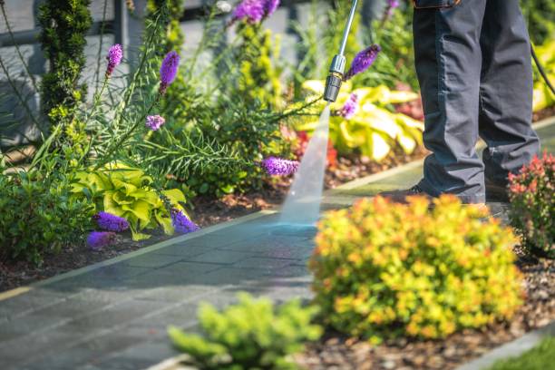 Reliable Parkville, PA Pressure Washing Services Solutions
