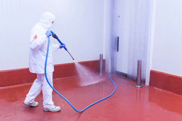Best Rust Removal  in Rkville, PA