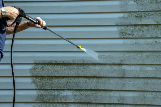 Best Patio and Deck Pressure Washing  in Rkville, PA